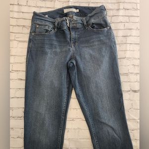 Torrid Jeans